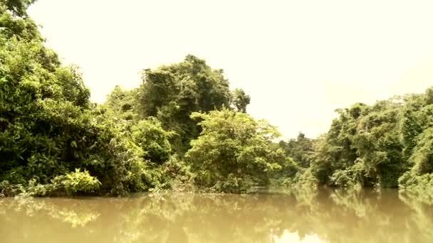 Passeio de barco no rio Amazonas — Vídeo de Stock