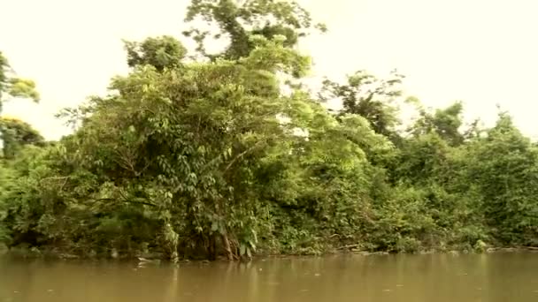 Boat trip at the Amazon river — Stock Video