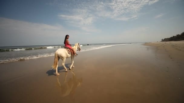 Vrouw op een paard — Stockvideo