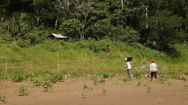Gente en la costa, Río Amazonas, Perú — Vídeo de stock