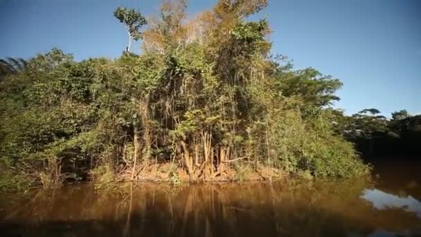 Wycieczki łodzią na rzece Amazonka — Wideo stockowe