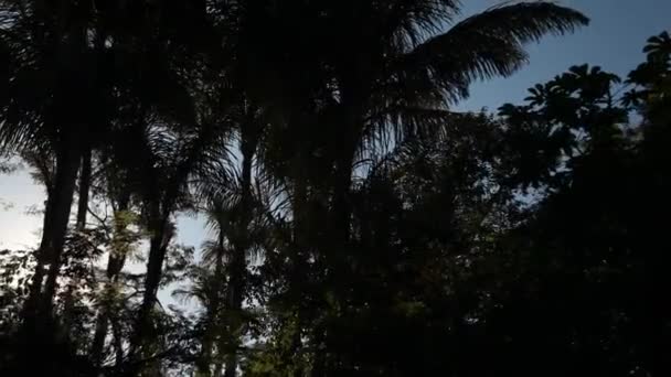 Paseo en barco por el río Amazonas — Vídeos de Stock