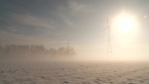 Winter in Germany — Stock Video