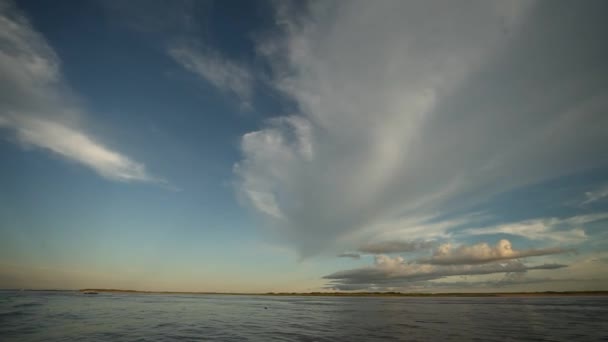 Boat trip at the Amazon river — Stock Video