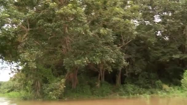 Paseo en barco por el río Amazonas — Vídeos de Stock