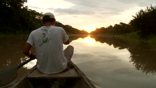 Paddeling con canoa en el río Amazonas — Vídeos de Stock