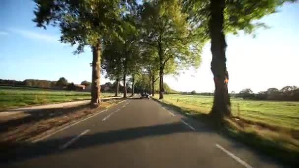 Samochód jadący przez las — Wideo stockowe
