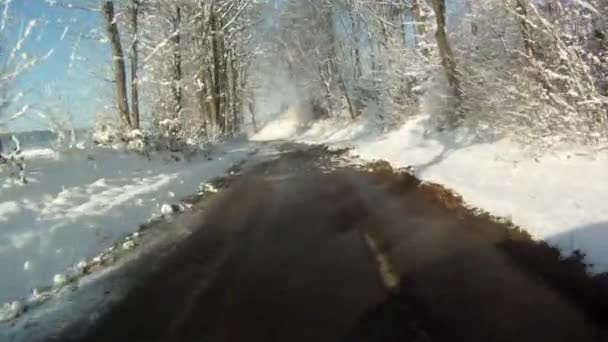 Condução na paisagem de neve — Vídeo de Stock