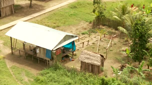 Cabanas na floresta tropical — Vídeo de Stock