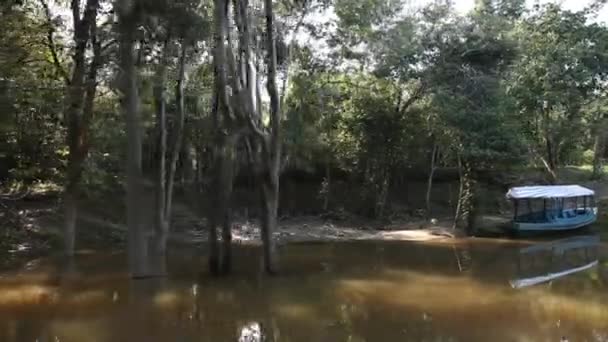 Trip on Amazon river — Stock Video