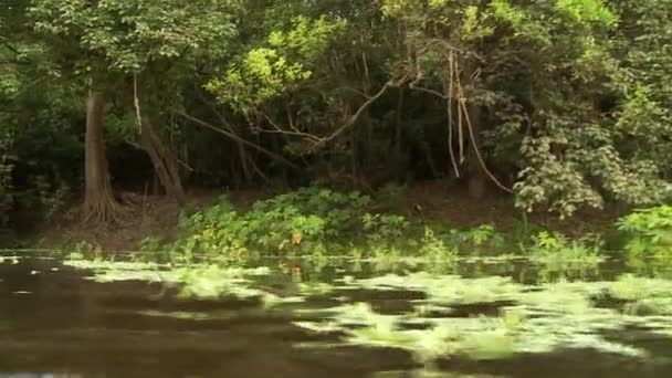 Výlet lodí na řeky Amazonky — Stock video