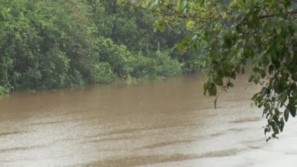 Jour de pluie en Amérique du Sud — Video