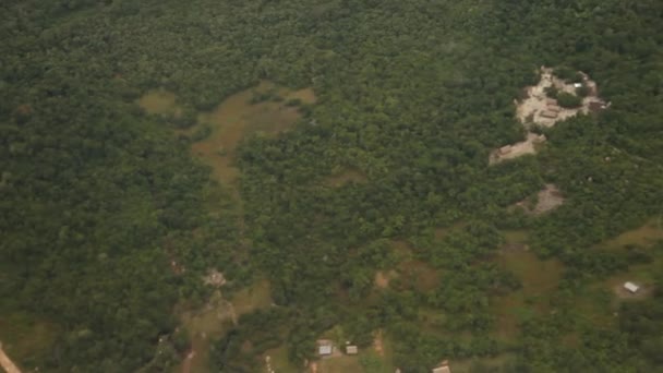 Volando sobre la selva tropical — Vídeo de stock