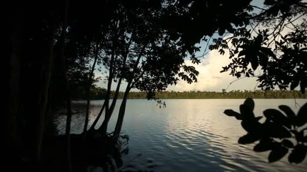 Bela vista na lagoa, América do Sul — Vídeo de Stock