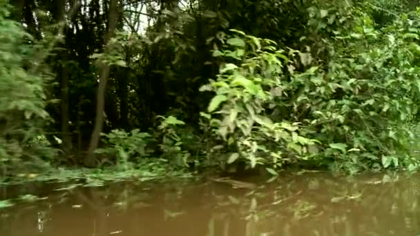 Amazon Nehri, tekne turu — Stok video