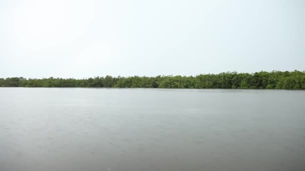 Båttur på floden Amazonas — Stockvideo