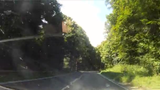 Condução na floresta — Vídeo de Stock