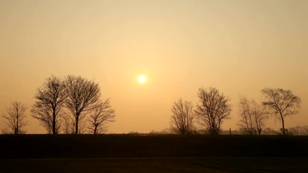 Strada di campagna — Video Stock