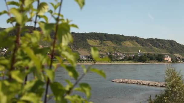 Rhine in Germany with winegrowing area — Stock Video