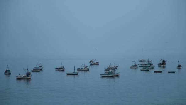 Fishing boats in the ocean — Stock Video