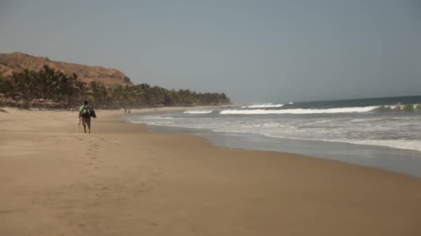 Человек, идущий вдоль пляжа — стоковое видео
