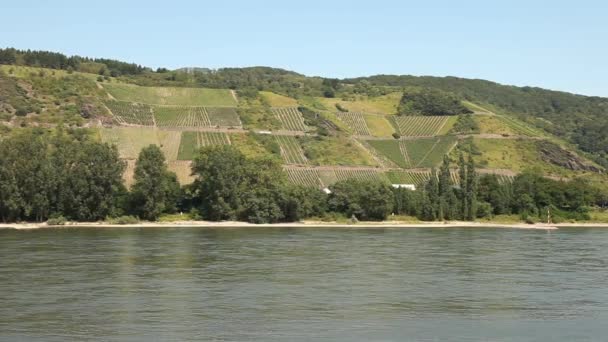 Rýn v Německu s vinařské oblasti — Stock video
