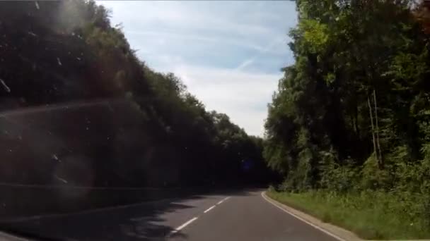 Conducción en el bosque — Vídeos de Stock