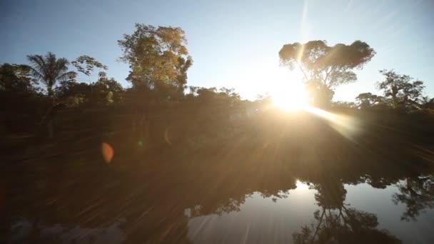 Paseo en barco por el río Amazonas — Vídeo de stock