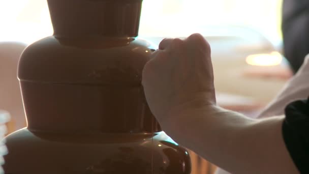 Chocolate fountain — Stock Video