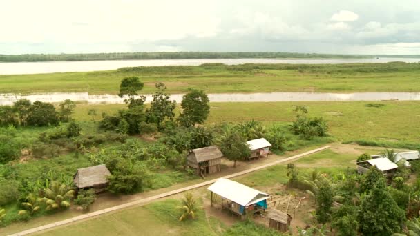 Rainforest from Above — Stock Video