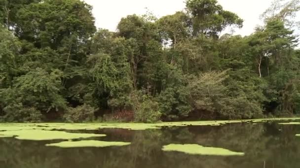 Båttur på floden Amazonas — Stockvideo