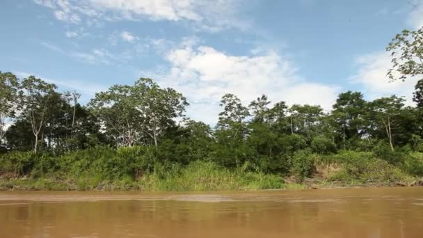 Bootsfahrt auf dem Amazonas — Stockvideo