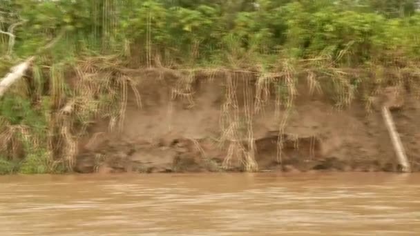 Výlet lodí na řeky Amazonky v Jižní Americe, Peru — Stock video