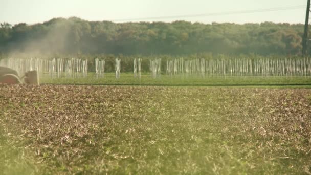 Traktor på fältet — Stockvideo