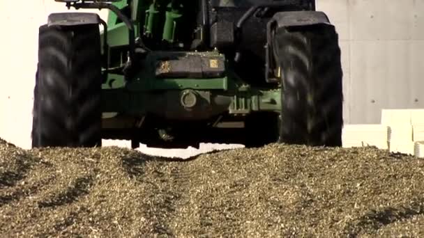 Кукурузная ферма — стоковое видео