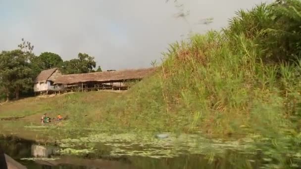 Passeio de barco no rio Amazonas — Vídeo de Stock