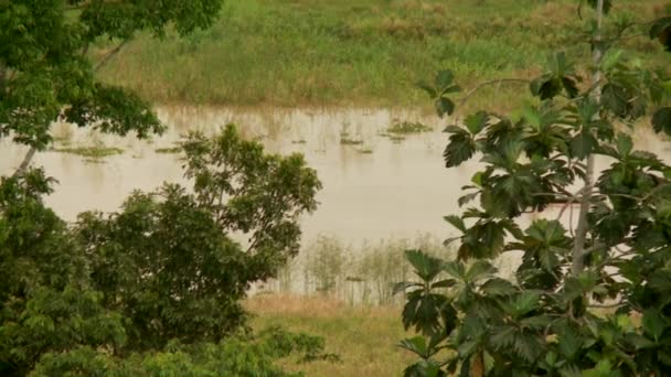 Envío en río Amazonas — Vídeos de Stock