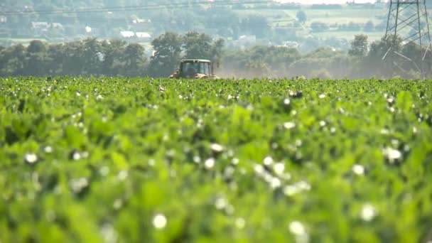 Tractor con arado en el campo — Vídeo de stock