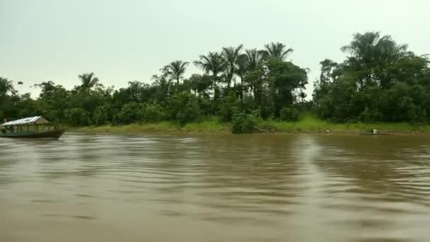 Boat trip at the Amazon river — Stock Video