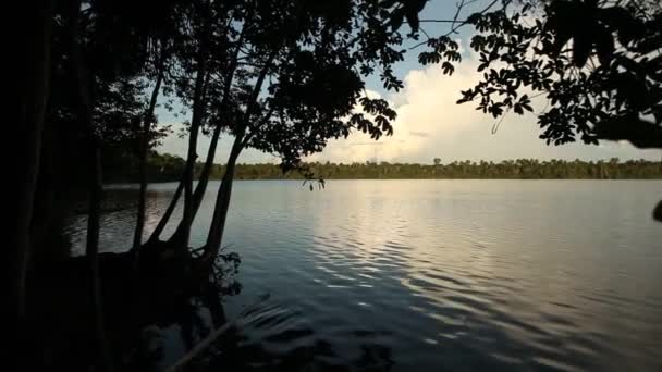 Prachtig uitzicht in de lagune, Zuid-Amerika — Stockvideo