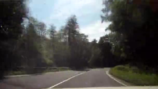 Ormanda sürüş — Stok video
