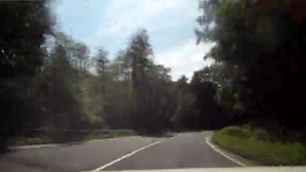 Autofahren im Wald — Stockvideo