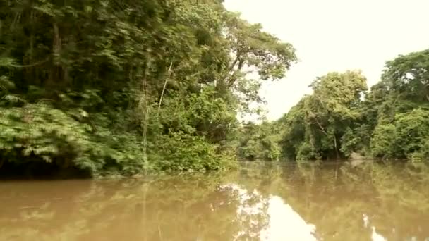 Bootsfahrt auf dem Amazonas — Stockvideo