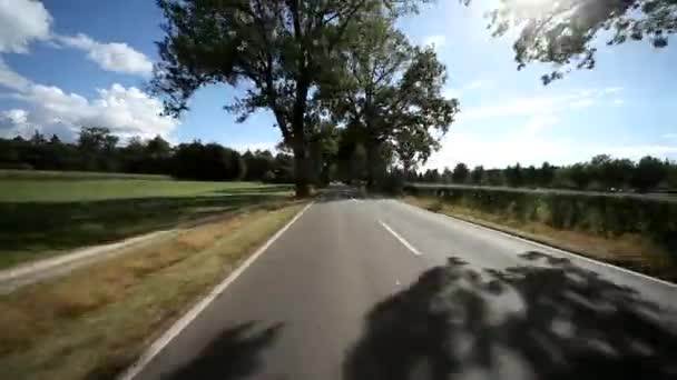 Coche conduciendo a través del bosque — Vídeo de stock