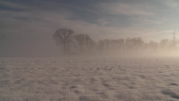 Winter in Germany — Stock Video