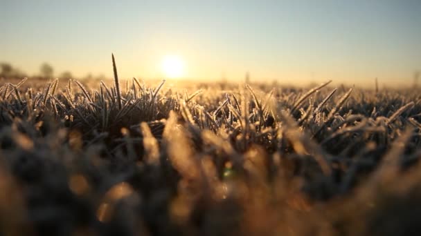 Winter in Deutschland — Stockvideo