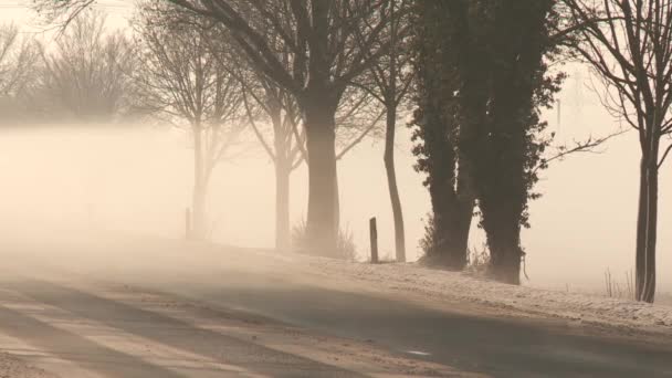 Camino en invierno — Vídeos de Stock