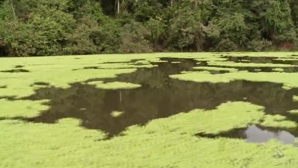 Båttur på floden Amazonas — Stockvideo