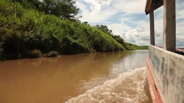 Perjalanan dengan perahu di sungai Amazon — Stok Video