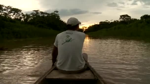 Paddeling met kano op amazon river — Stockvideo